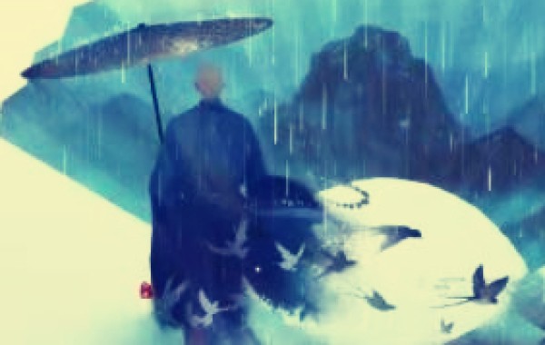 公告信息